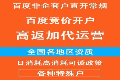 电商SEM推广案例解析
